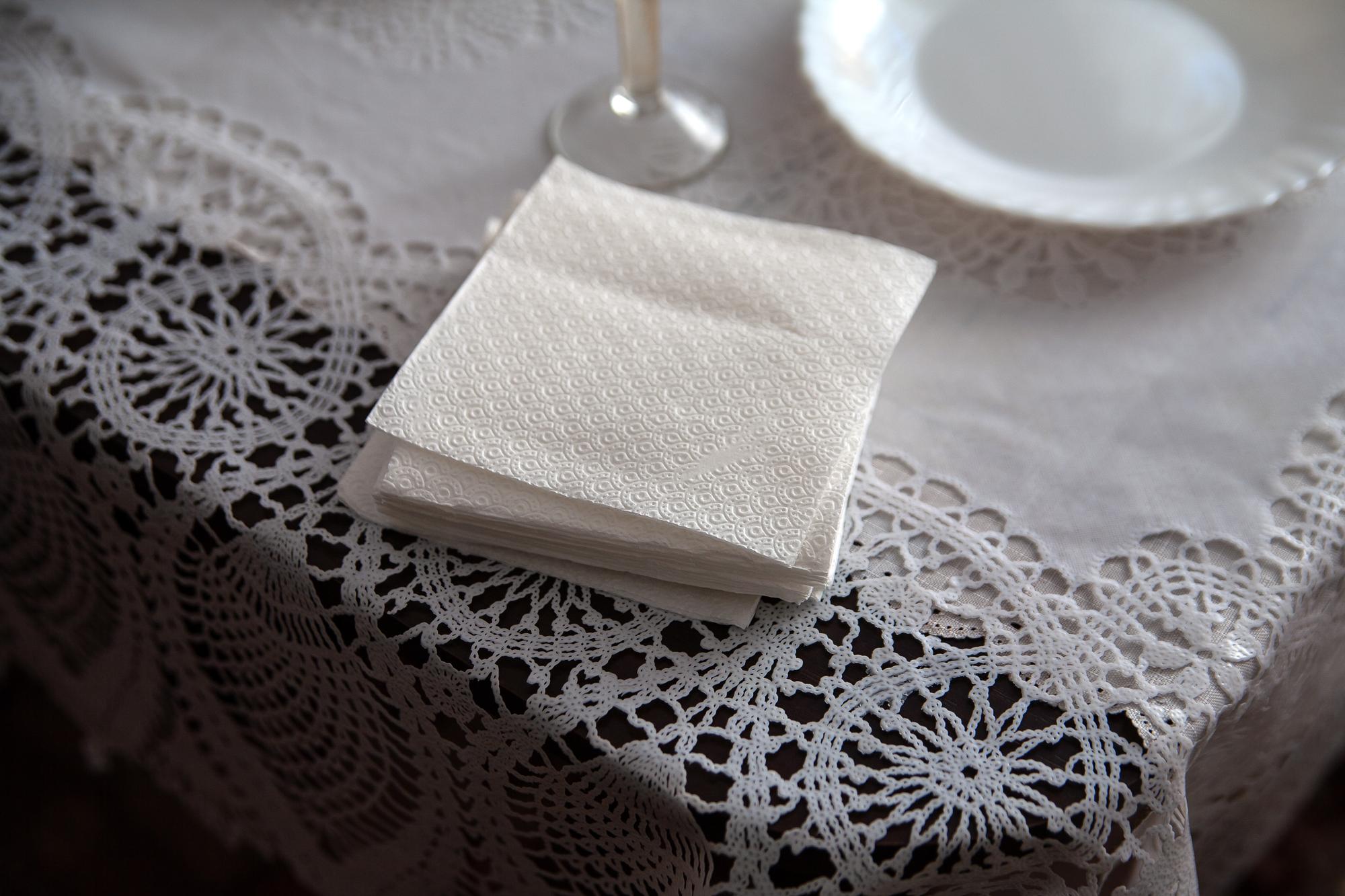 Embroidered linen napkin set